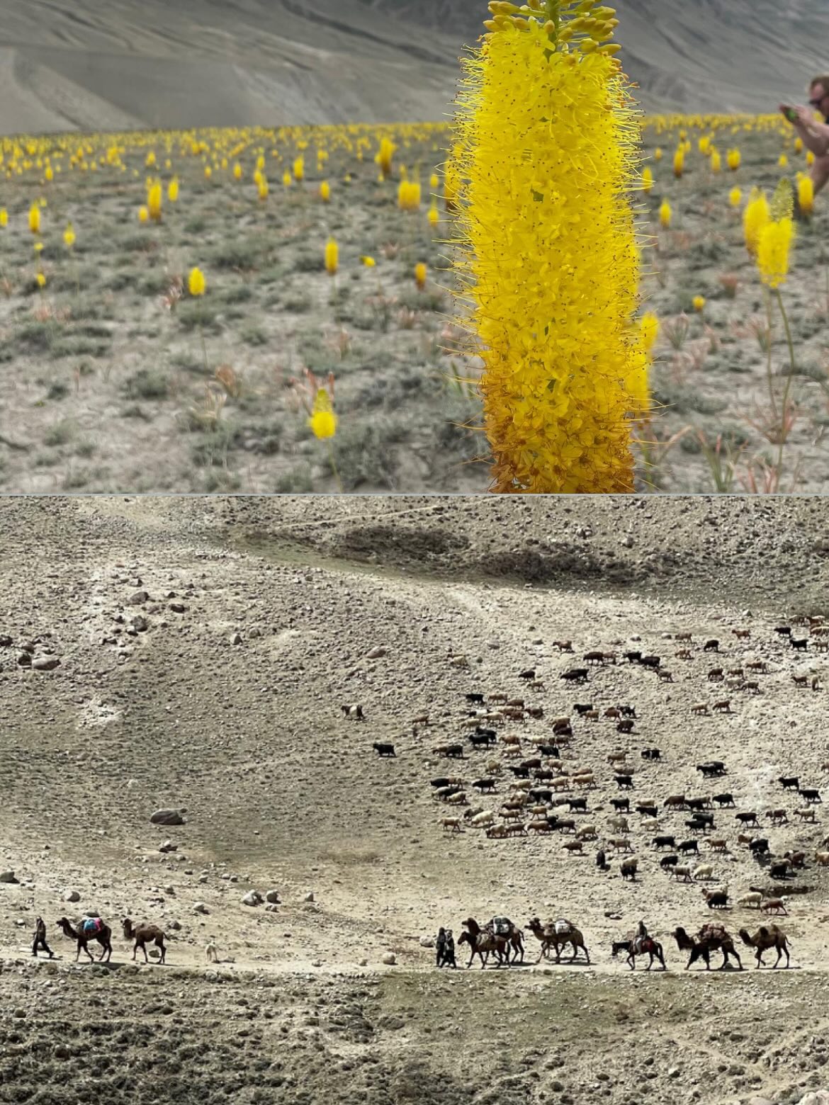 Pamir Mountains in Tajikistan and Kyrgyzstan popular for adventure travel